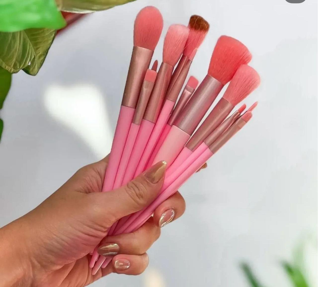 Gemini said Peachy Pink 13-Piece Professional Makeup Brush Set